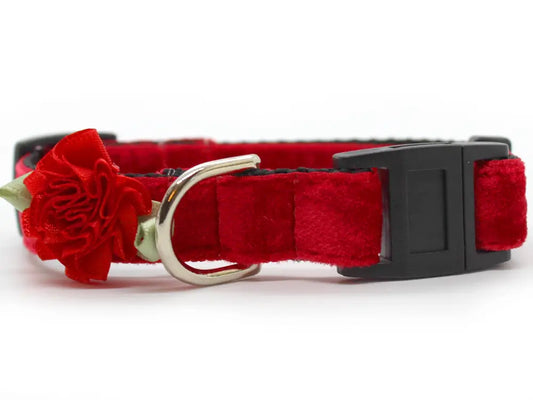 Velvet Cat Collar