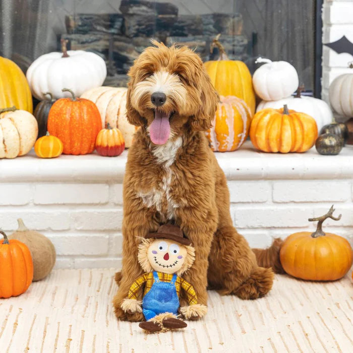 On My Last Straw - Scarecrow Plush Dog Toy