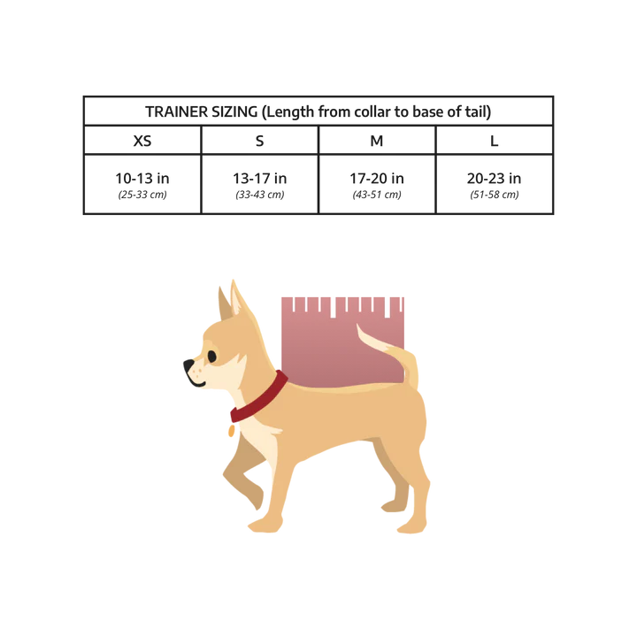 K9 Sport Sack Trainer