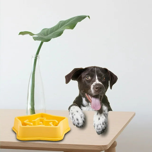 Star Slow Feeder Bowls