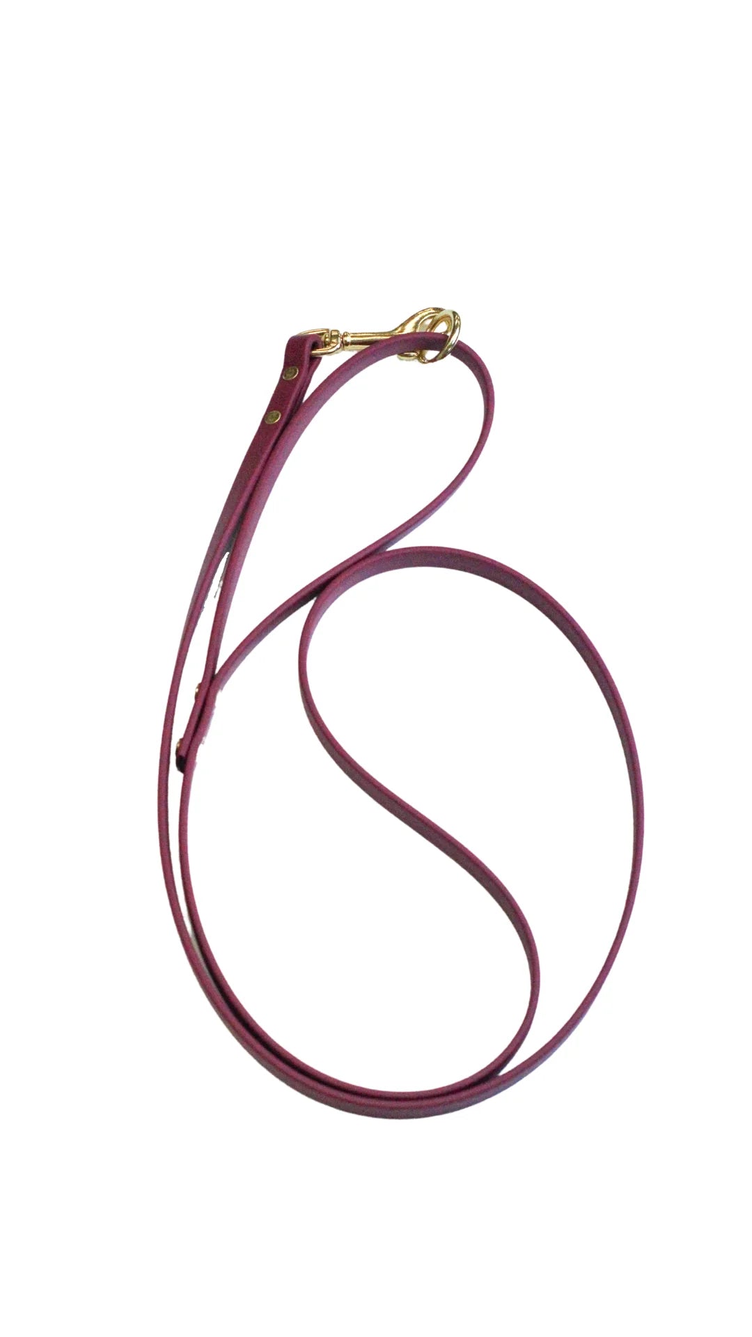 Violet Waterproof Biothane Leash
