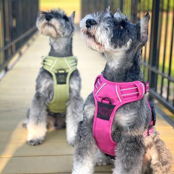 Venture Paw Pull Control Harness