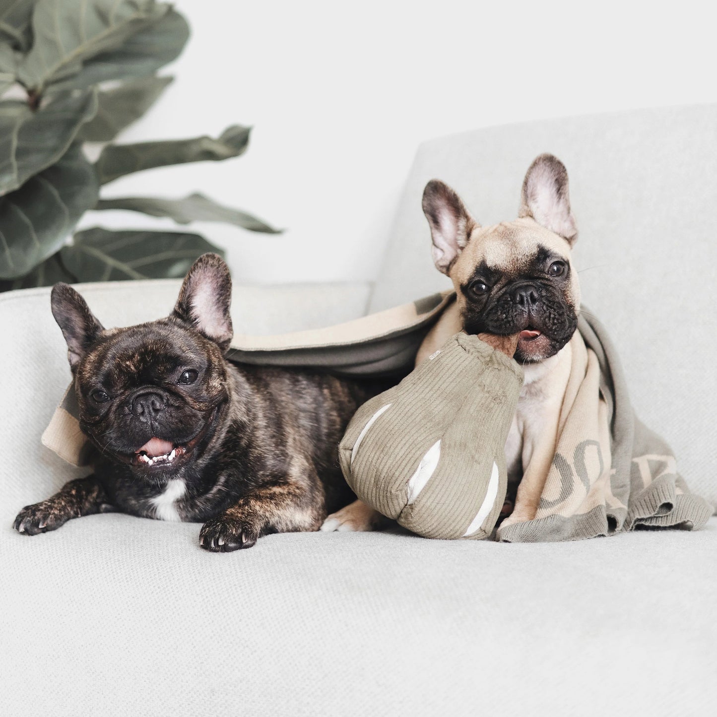 Butternut Dog Toy
