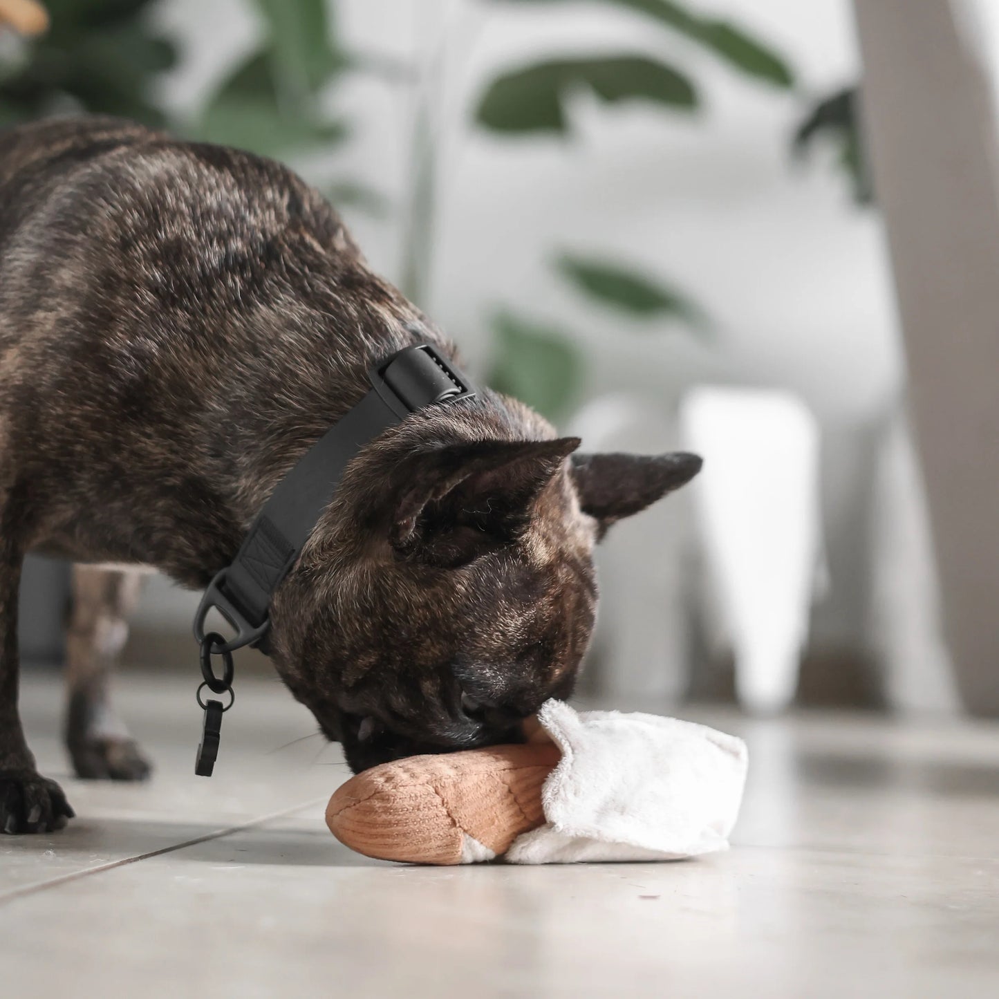 Baguette Dog Toy