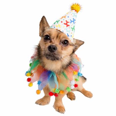 Party Hat & Collar Set