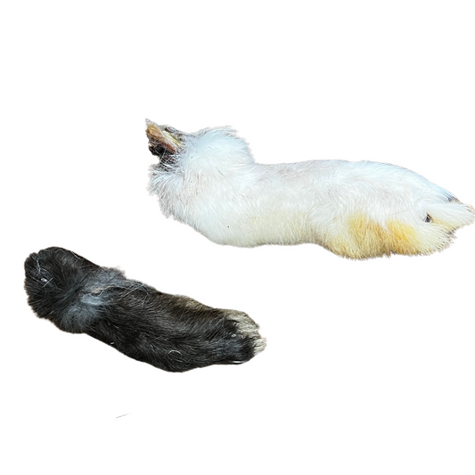 GGR Rabbit Foot