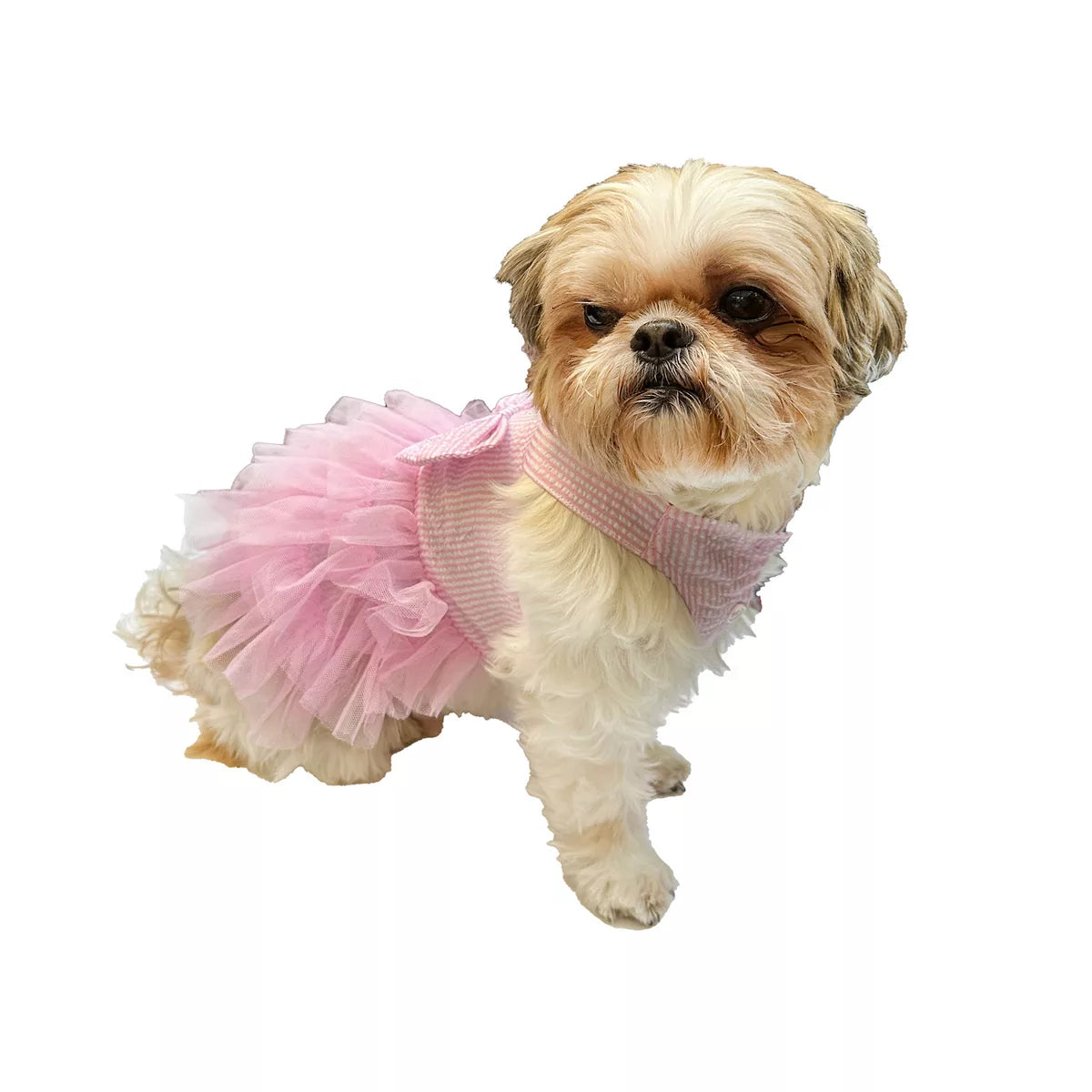 Pink Seersucker Ruffle Dress