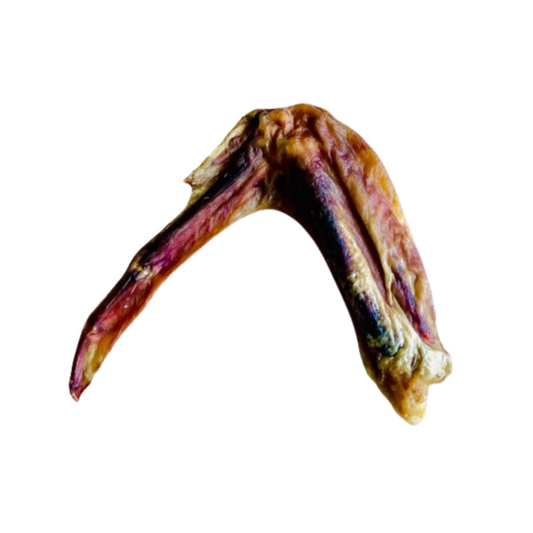Duck Wing