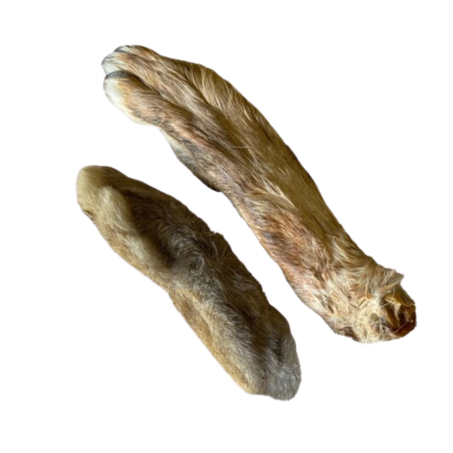 GGR Rabbit Foot