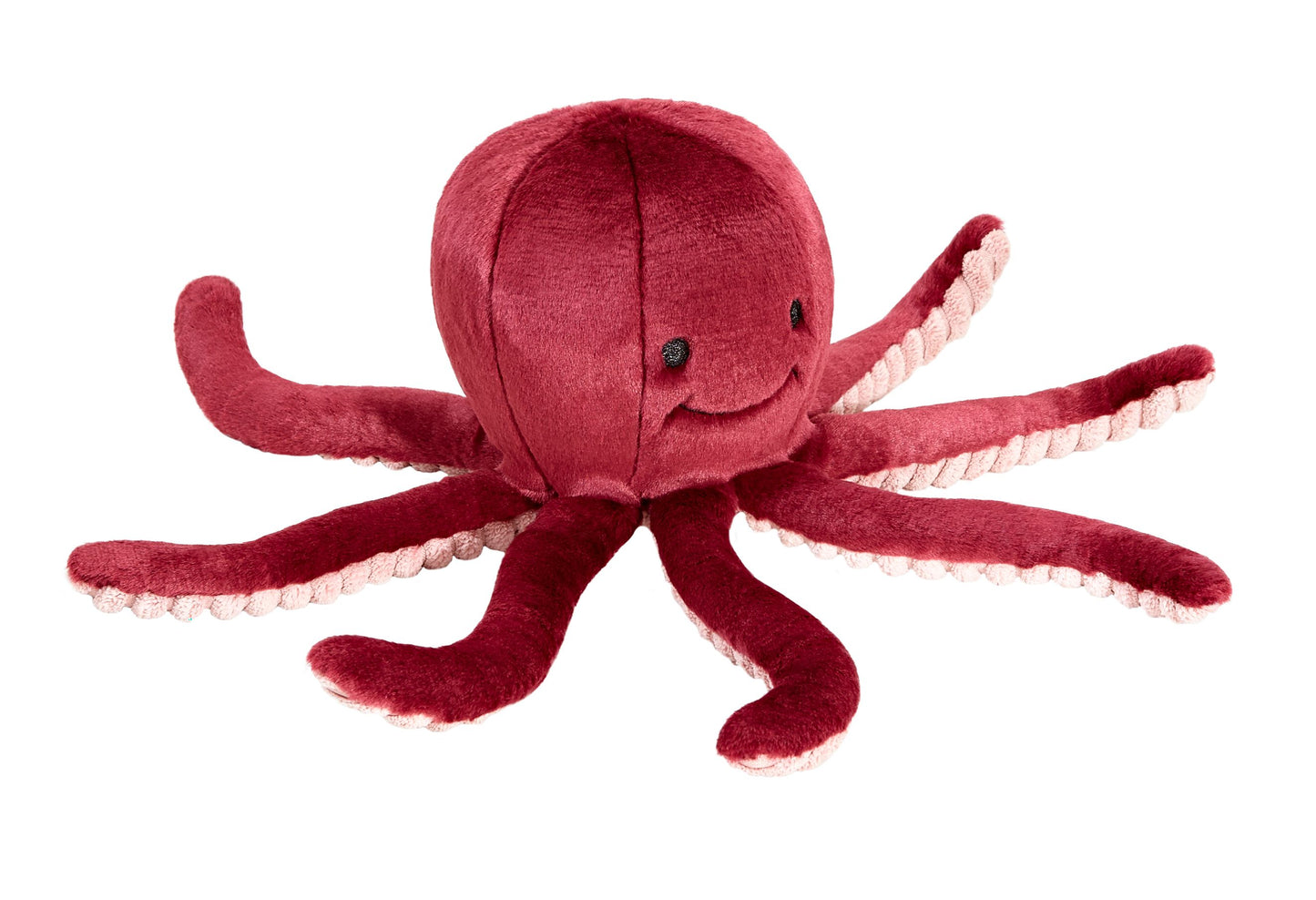Olympia Octopus - Medium