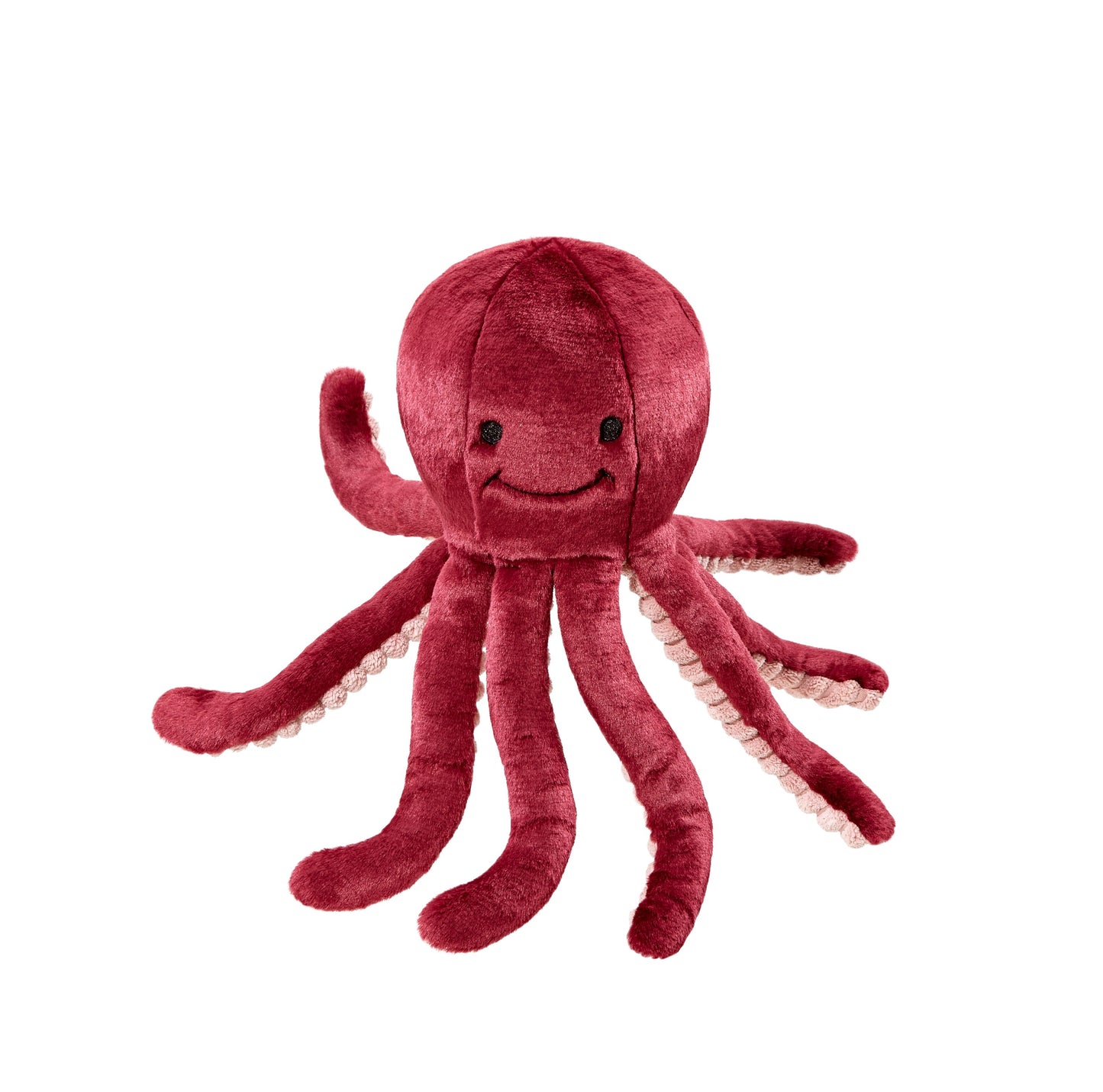Olympia Octopus - Medium