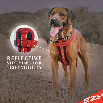 CHEST PLATE DOG HARNESS