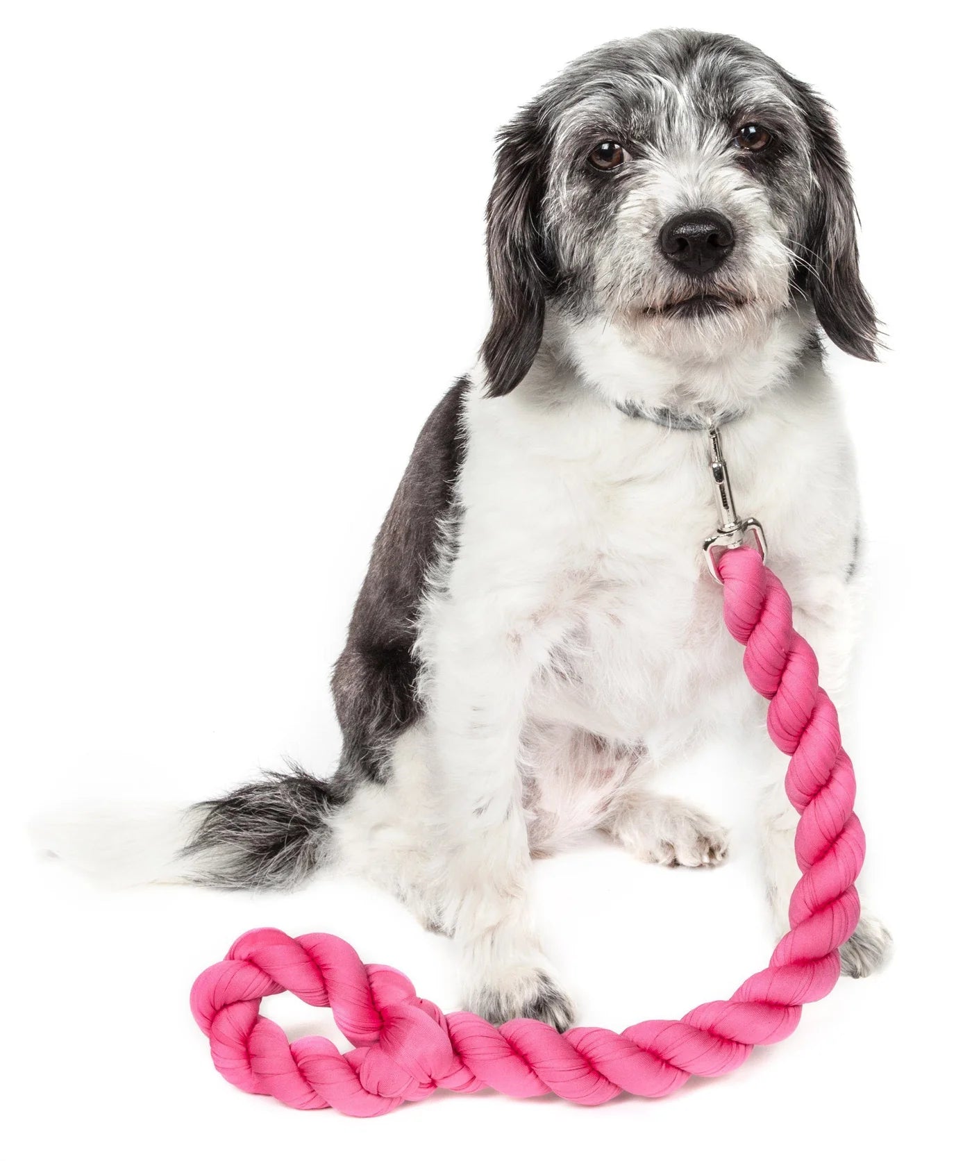 Tough-Tugger' Strength + Shock Absorption Woven Leash