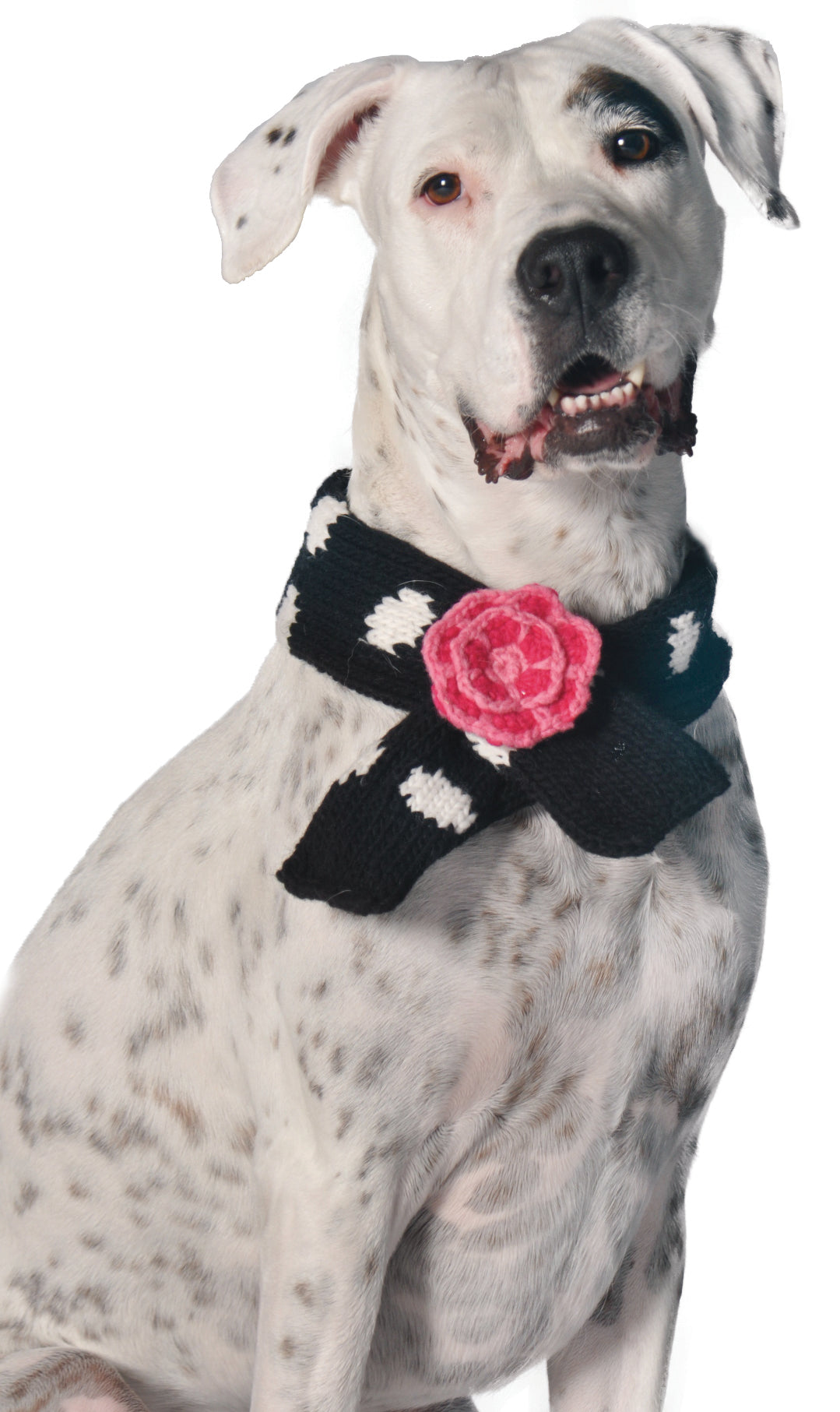 Black Polka Dot Flower Wool Scarf