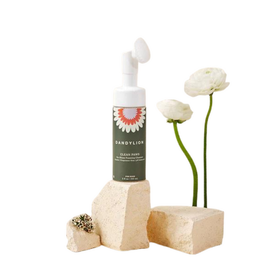 Paw No-Rinse Foaming Cleanser
