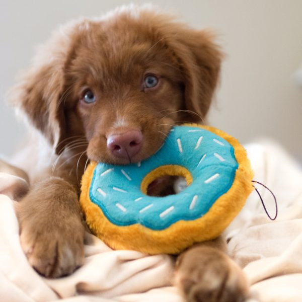 Donutz – Blueberry
