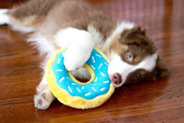 Donutz – Blueberry
