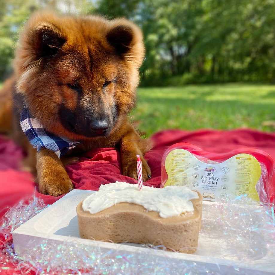 Dog Cake Kit: Banana Cake Mix
