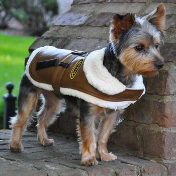 Faux Leather Bomber Sherpa-Lined Dog Harness Coat