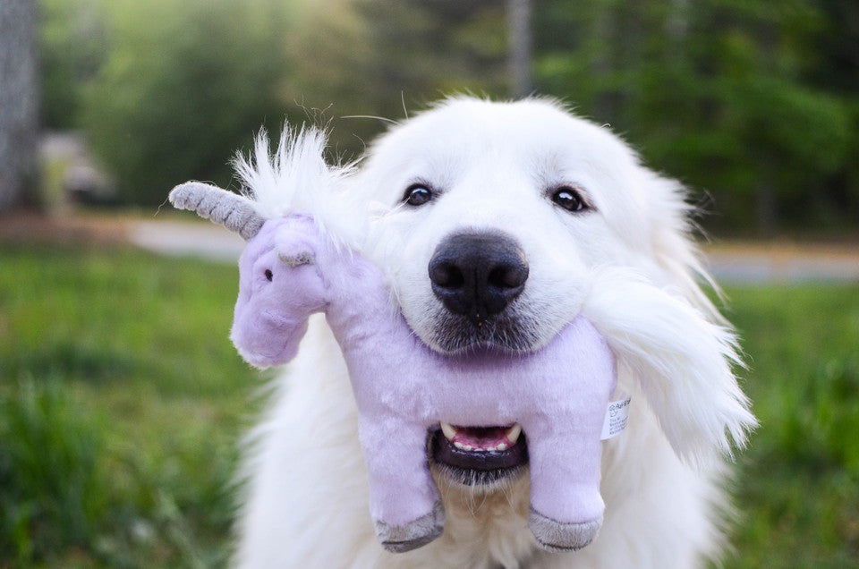 Violet Unicorn - Medium