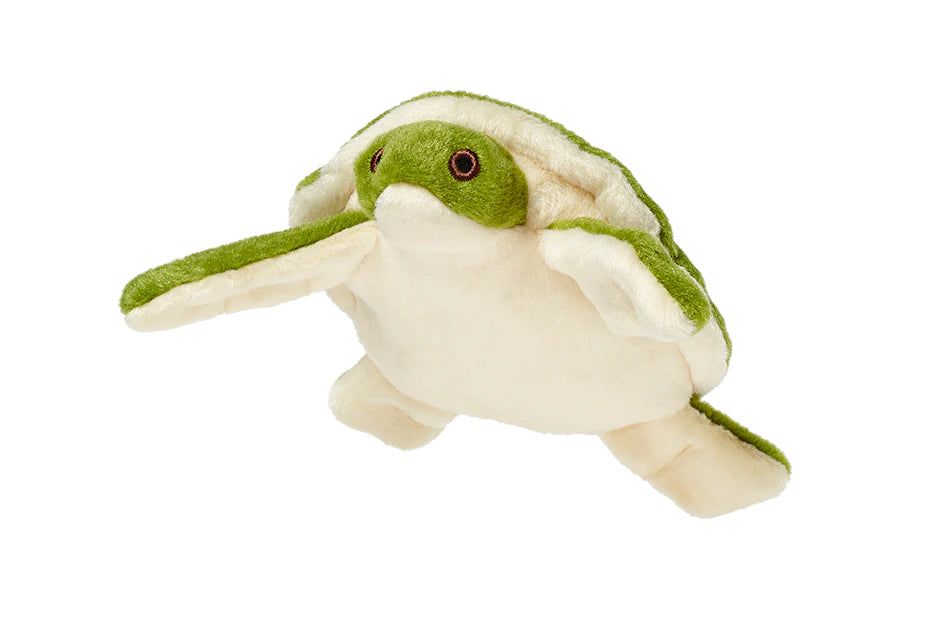 Esmeralda Turtle - Small
