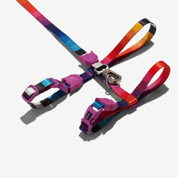 Cat Harness with Leash - Prisma