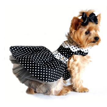 Polka Dot Dog Dress w/ Matching Leash
