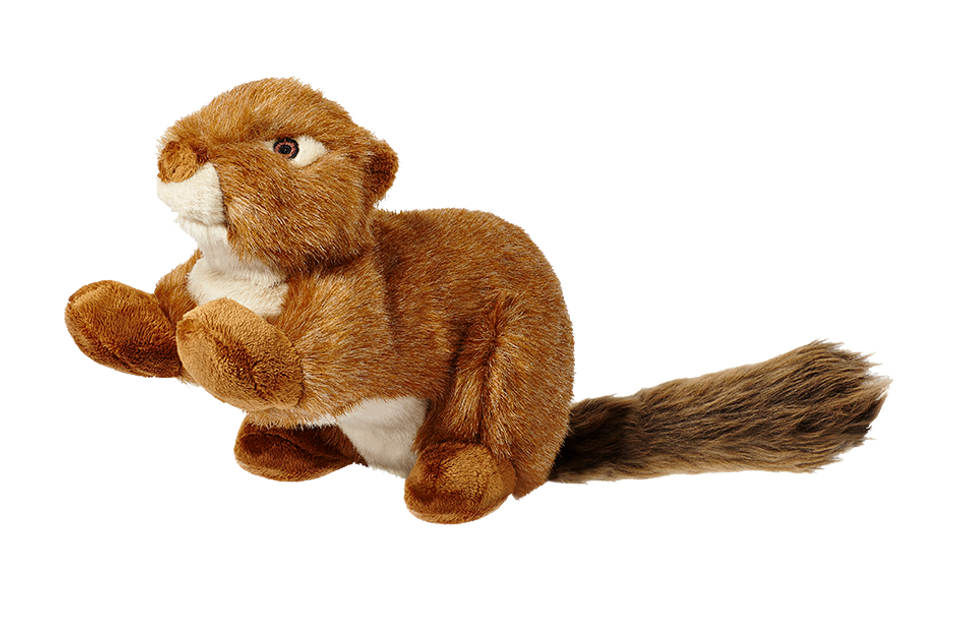 Red Squirrel - Large
