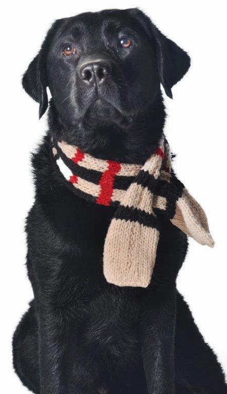 Fauxberry Wool Scarf