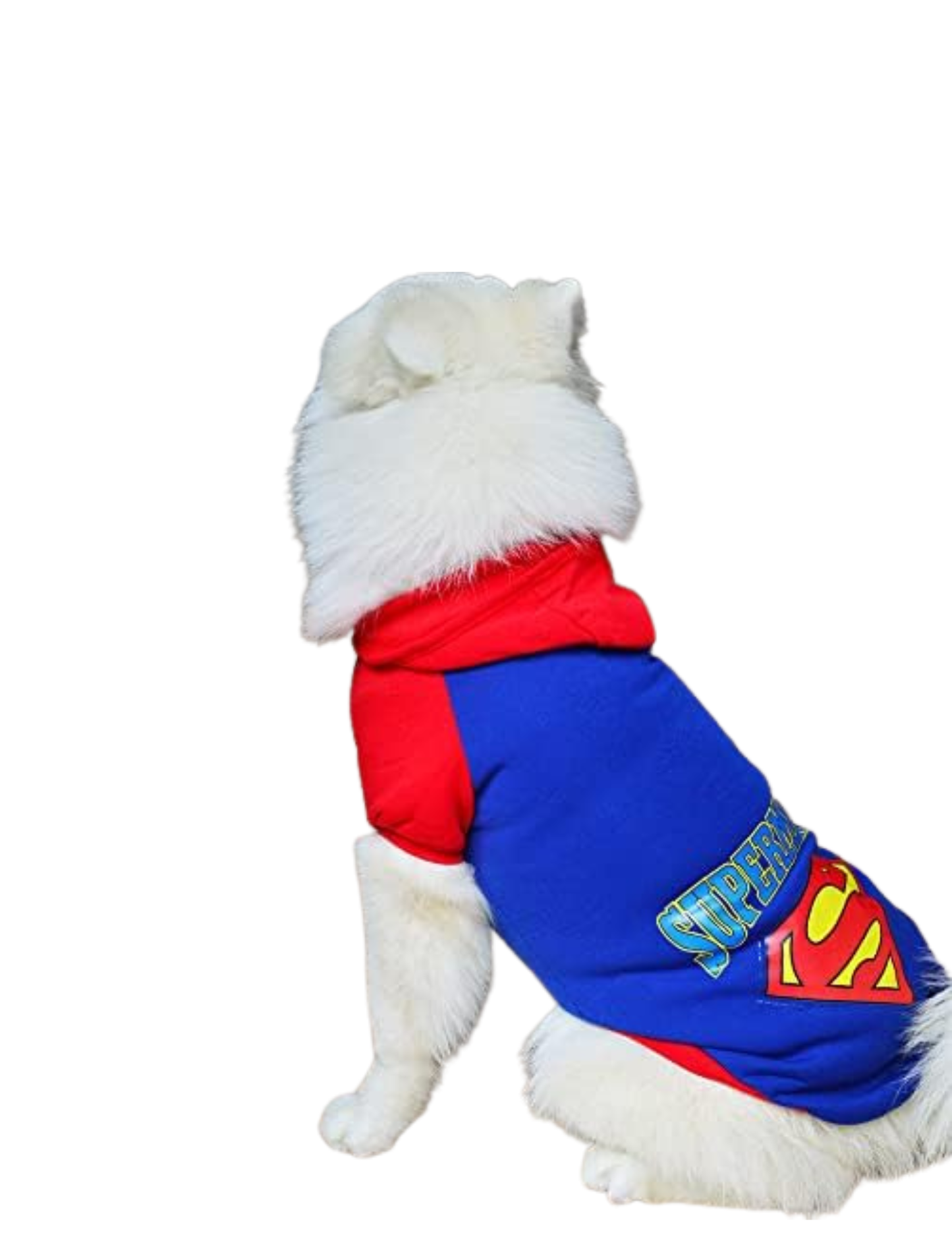 Super-Dog Costume