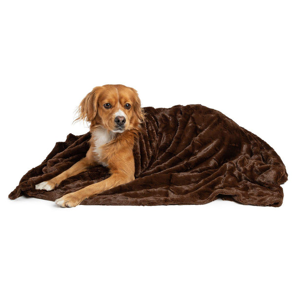 Pet Throw Blanket in Lux Fur