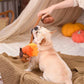 Autumn Tailz - Autumn Acorns
