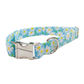 Daisy Chain Collar