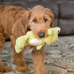 Cuddly Frog Plush Dog Toy