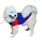 Super-Dog Costume