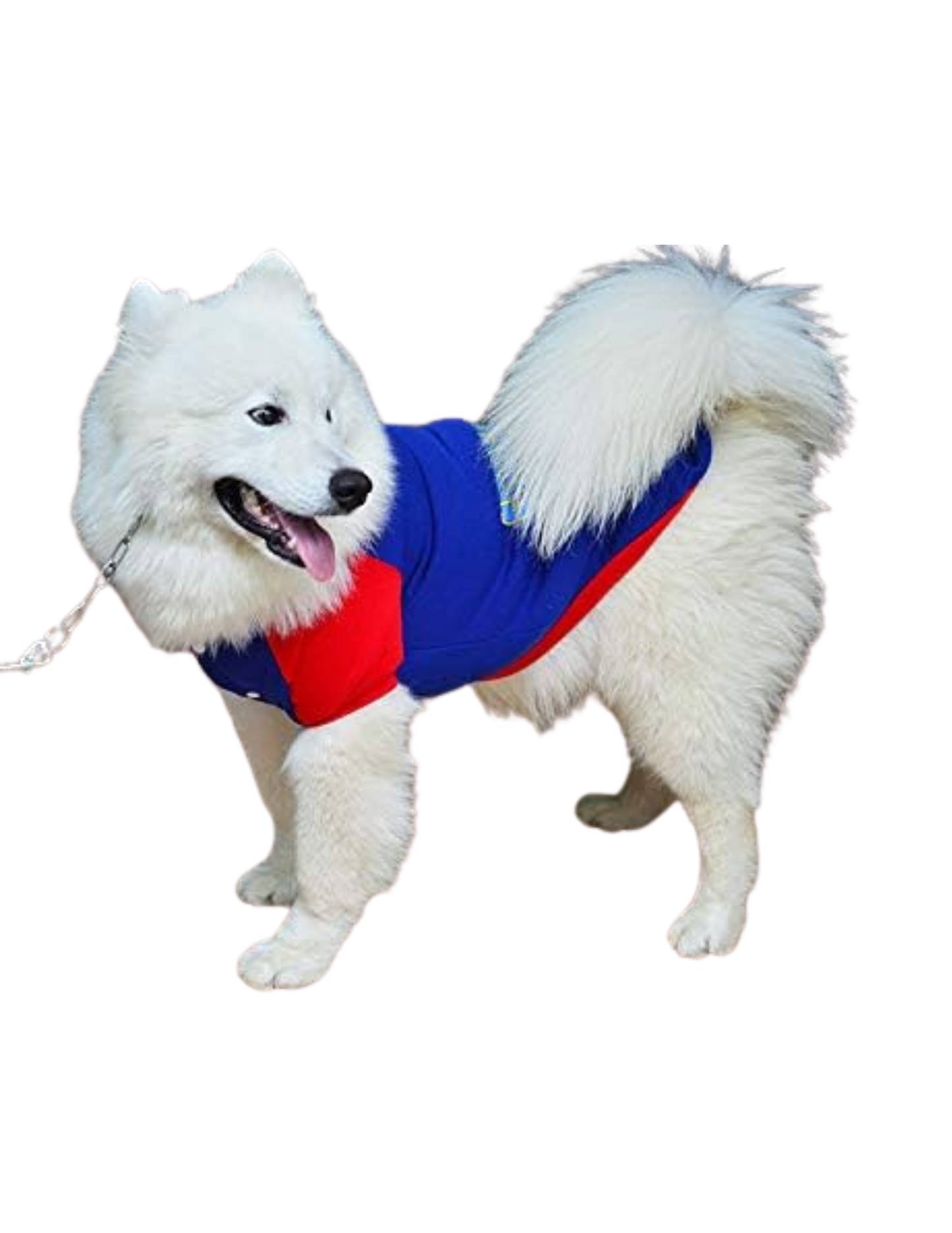 Super-Dog Costume