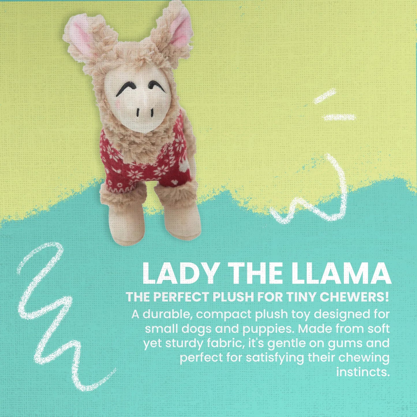 Lady the Llama