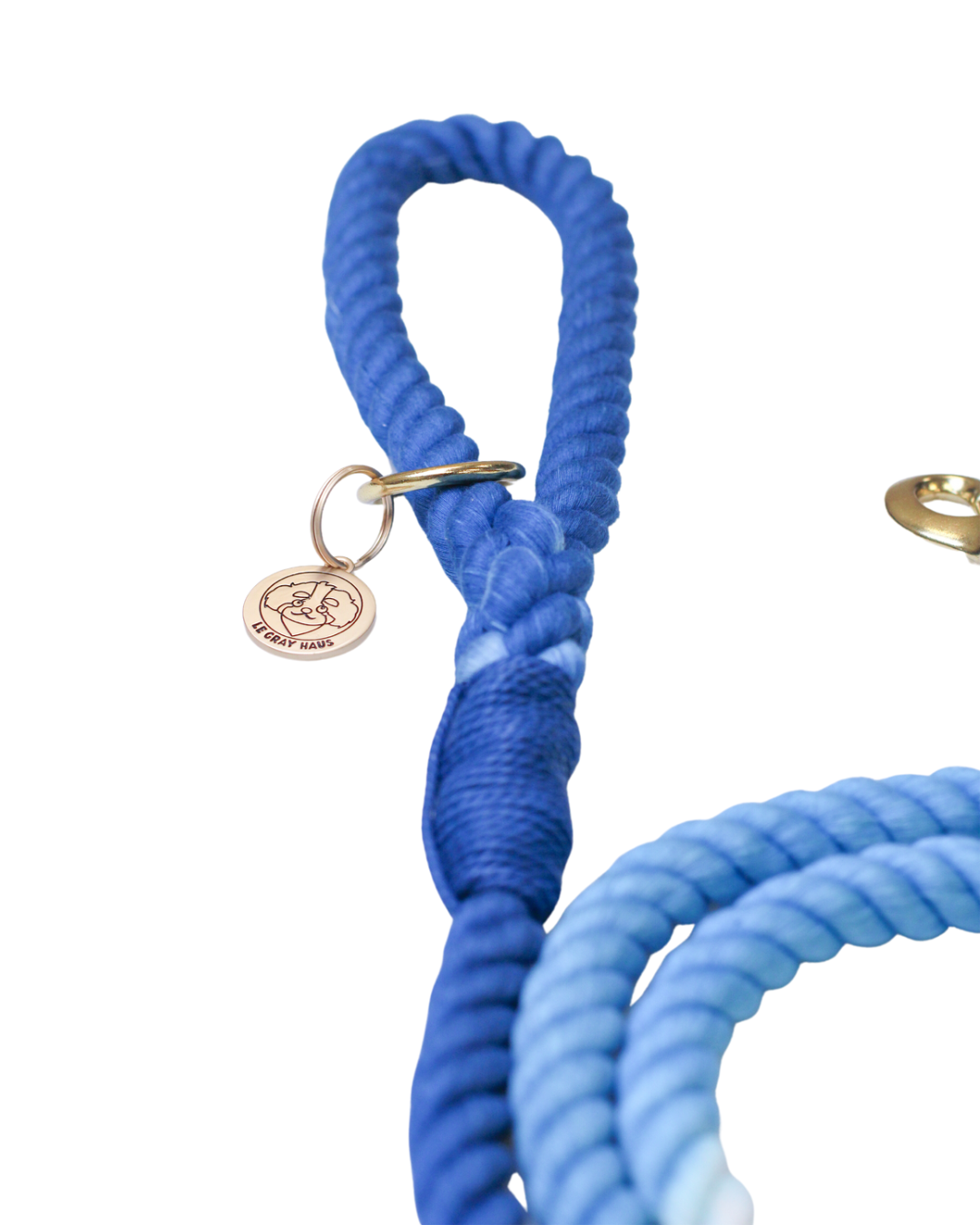 Ombre Rope Leash