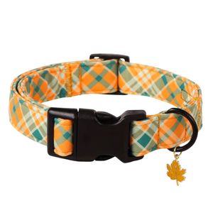 Goldenrod Maple Dog Collar