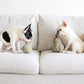 Butternut Dog Toy
