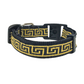 Caesar Design Breakaway Cat Collar