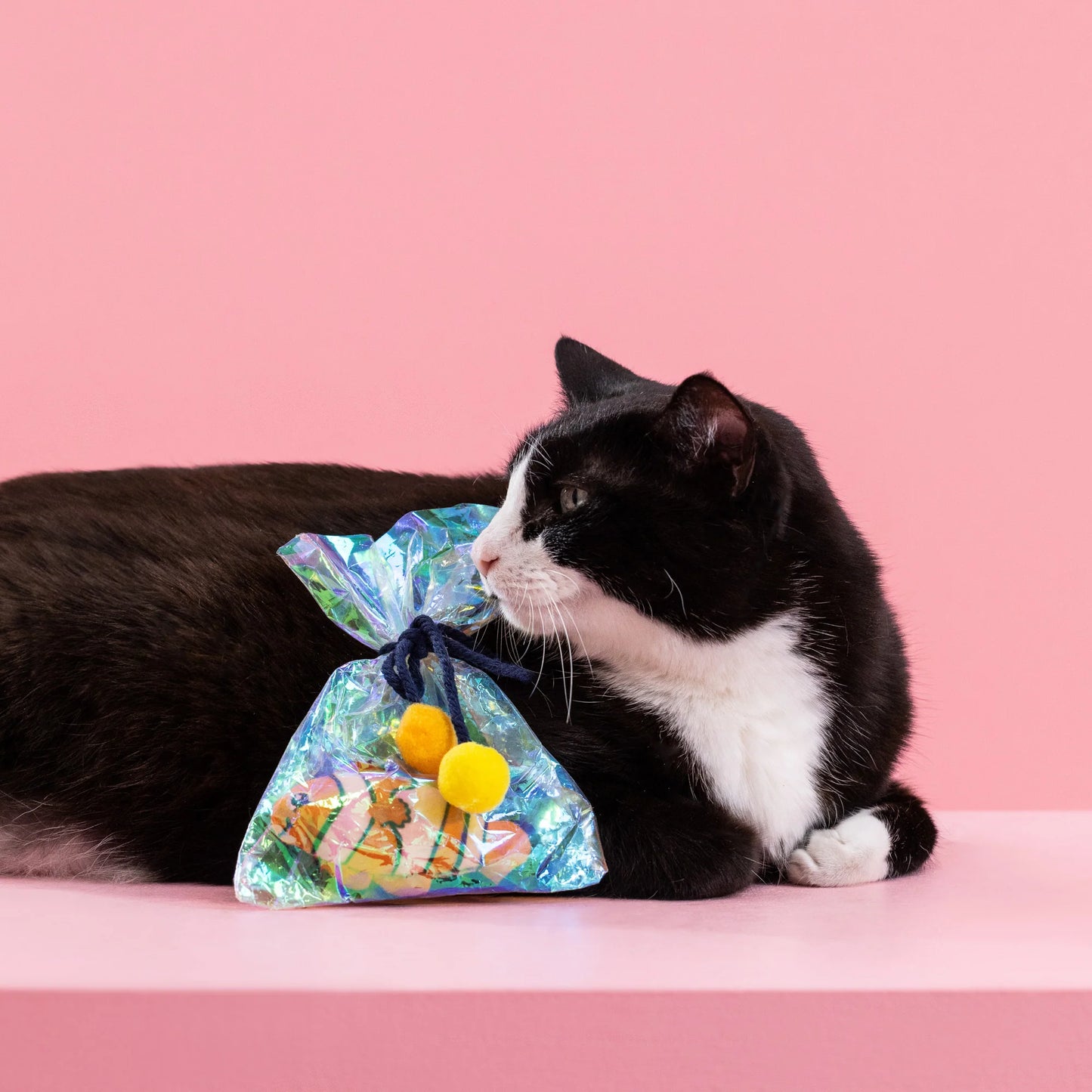 Clownin' Around Cat Toy