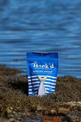 Herring Whole Dog Treats