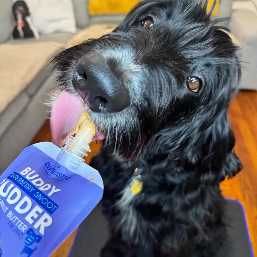 Superberry Snoot Buddy Budder