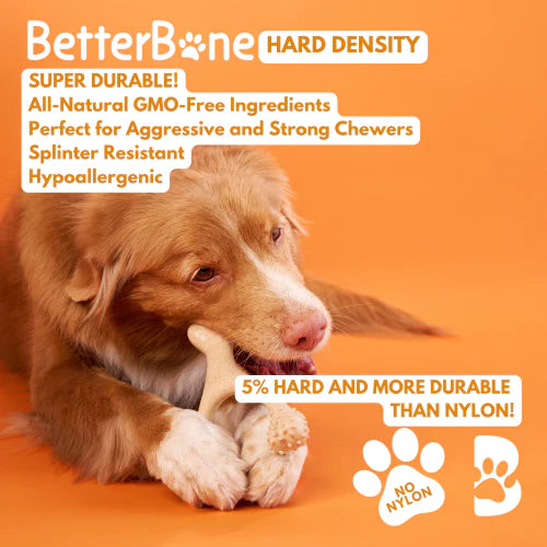 Better Bone - Hard Chewer Beef