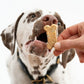 Celebration Cookies