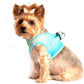 American River Choke Free Dog Harness Ombre Collection - Aruba Blue