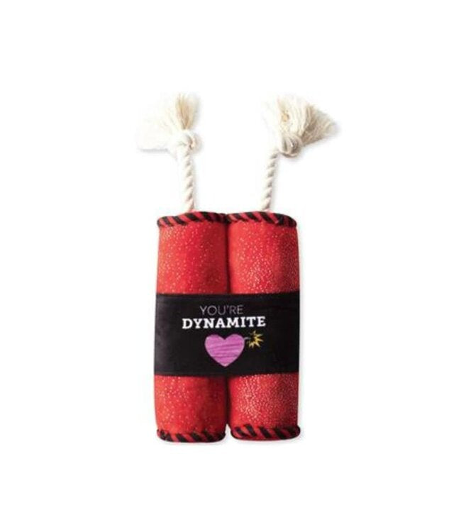 You’re Dynamite Dog Toy