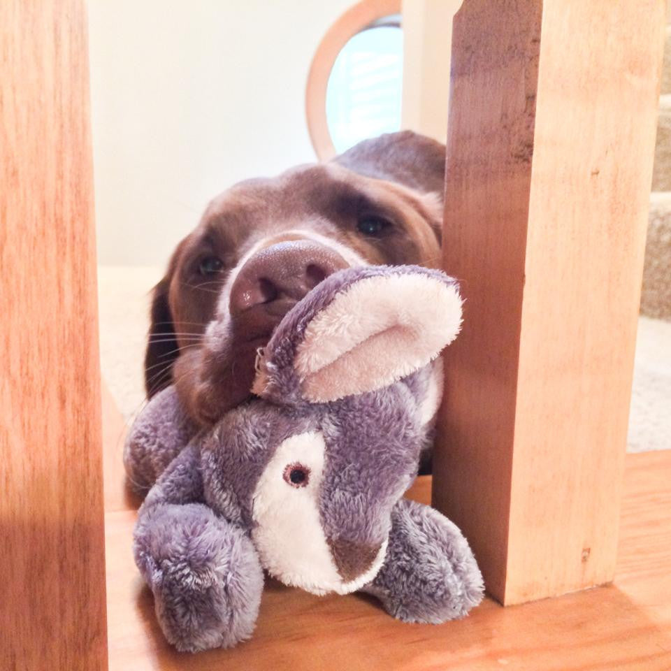 Jessica Bunny- Small