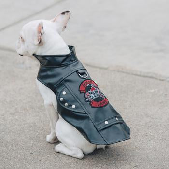 Biker Dawg Motorcycle Harness Jacket